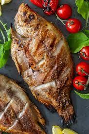 Tilapia Full